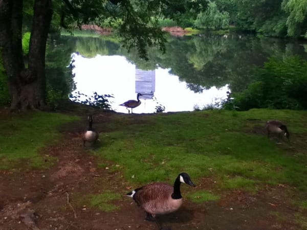 Boston: a city that will enchant you.: photo 1