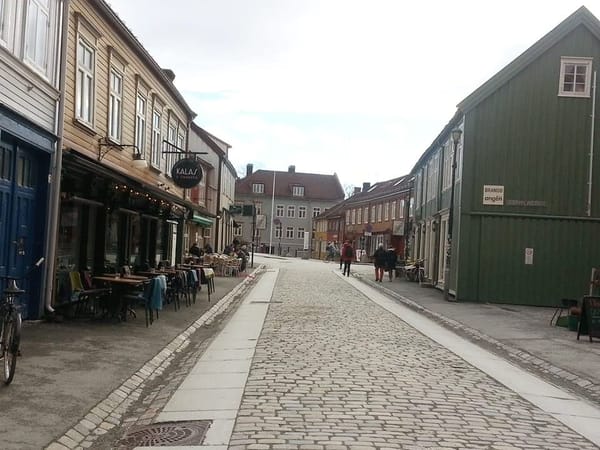 Trondheim, Norway: Northern lights and dog-sledding: photo 8