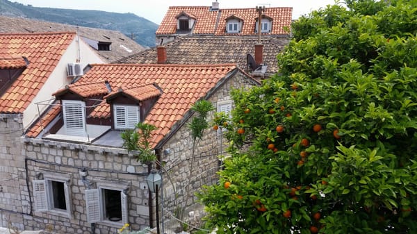 Dubrovnik: a two days trip in a medieval city: photo 10