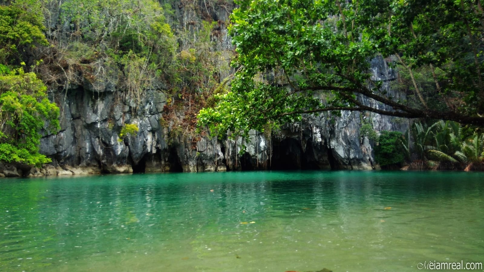 Explore Puerto Princesa in Just Three Days!