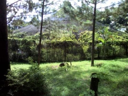 Paradise Ranch: Conservation Park in Clark Pampanga, Philippines: photo 21