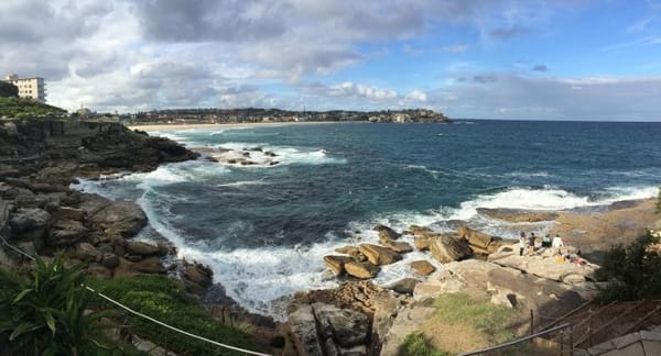 Your guide to Sydney!: photo 6
