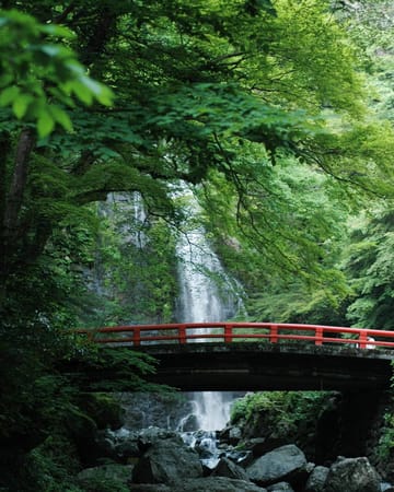 Hidden Waterfalls in Osaka and Mie: photo 1