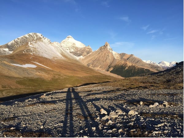 Things to Know to Road Trip in Jasper National Park, Canada: photo 5