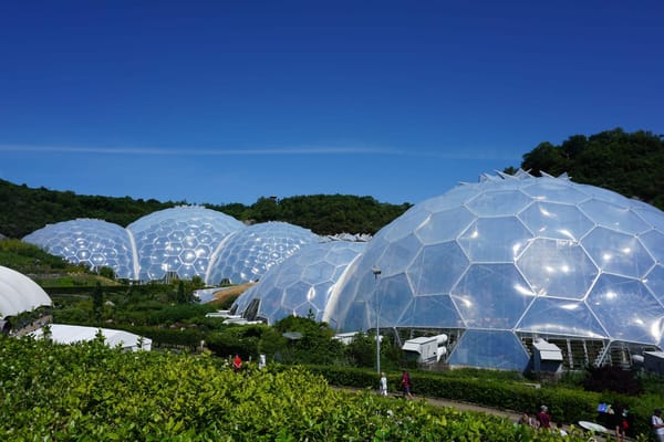 Cornish Coasts and Countryside: Things to do in Cornwall, England: photo 4