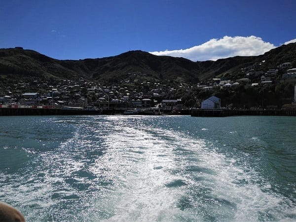 Lyttleton: Magical seaport town: photo 11