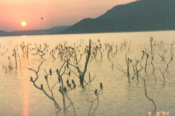 Africa  - the Beginning of a Lifetime Adventure: photo 12