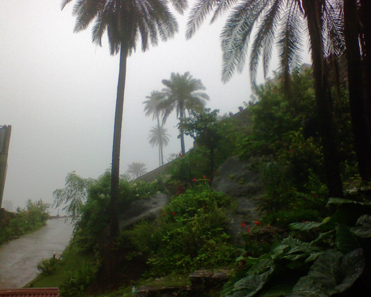 Mount Abu: An oasis in the desert state of Rajasthan, India.