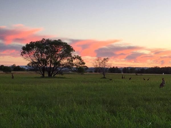 The Sunshine Coast: Open Your Eyes to Serene Sunsets: photo 2