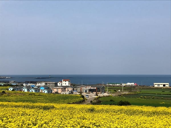 Jeju Island Solo Backpacking: A small person on a big island: photo 6