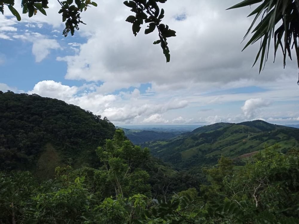 Exploring Monteverde, Costa Rica: top 10 things to do