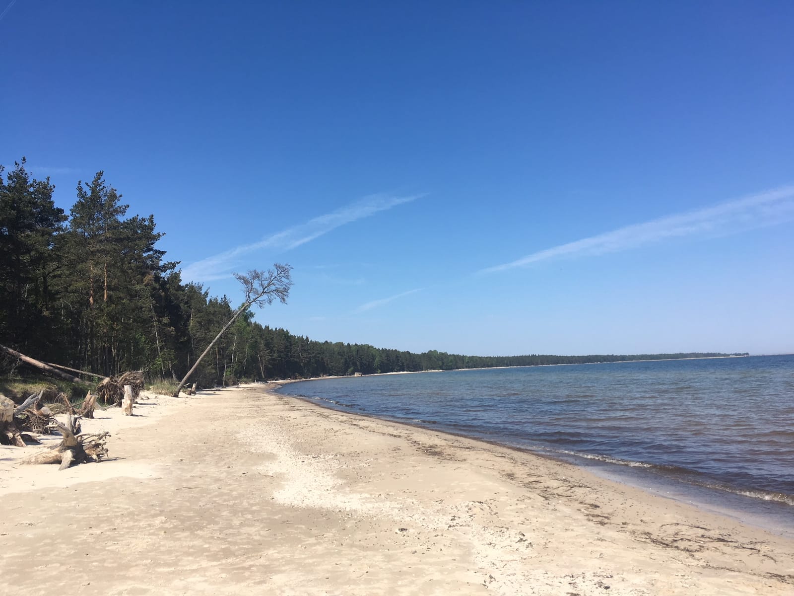 Hiiumaa: A hidden paradise in the Baltic sea