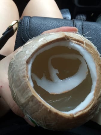Penang : Ultimate Coconut Guide: photo 2