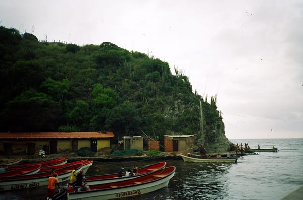 Choroní: Cloud forest, bluegreen beaches, rivers and drums: photo 3