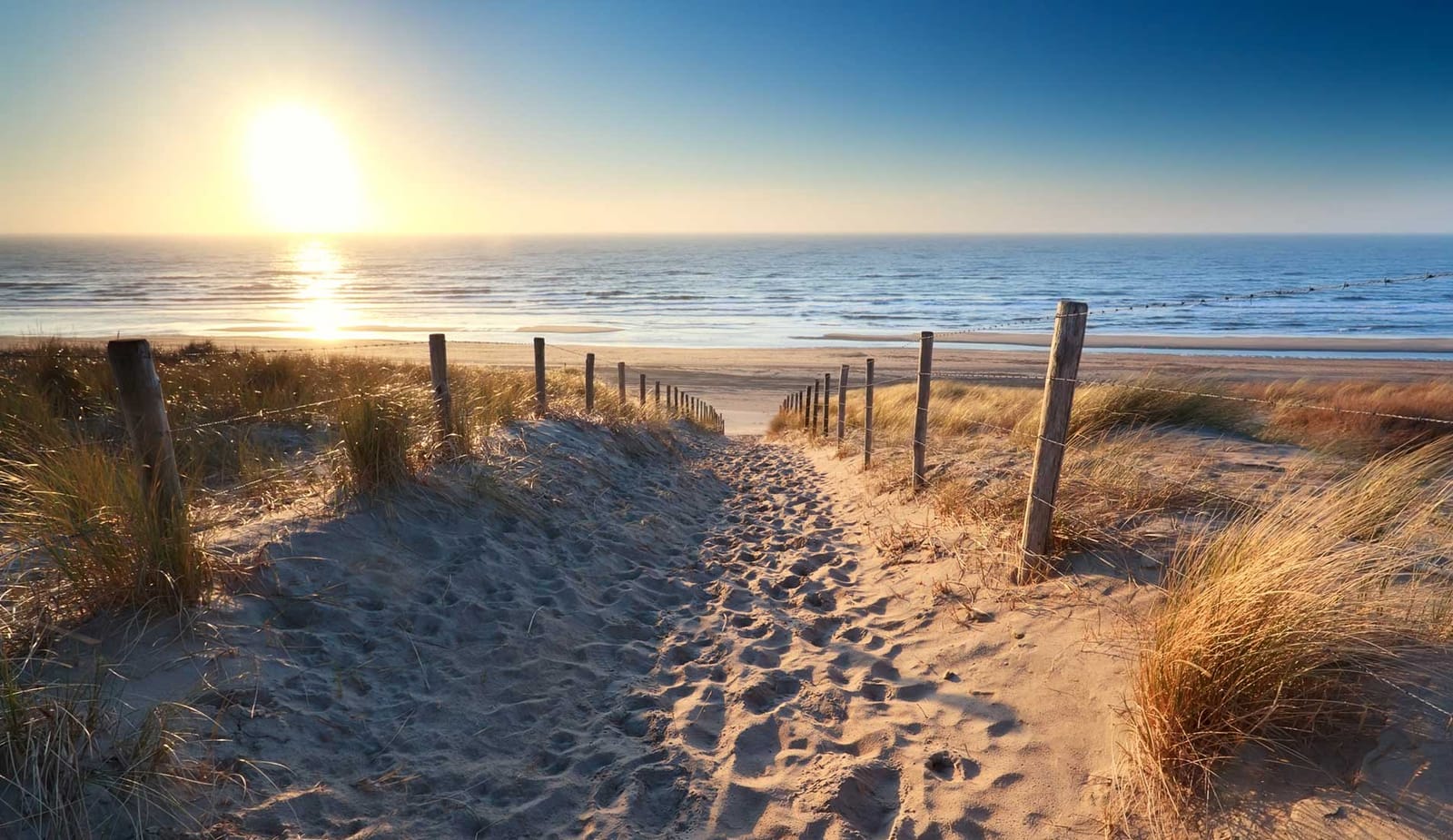 renesse: hidden beauty in the netherlands