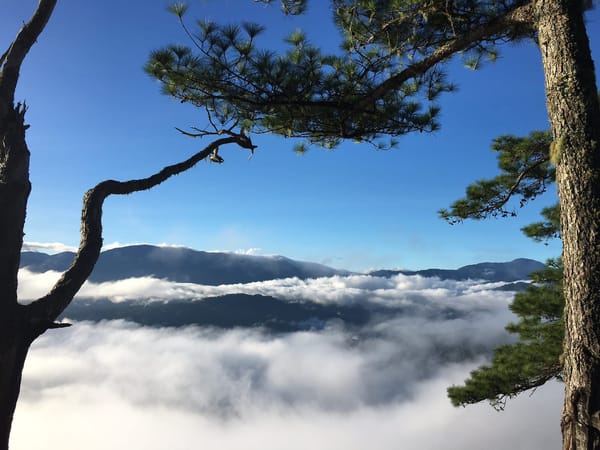 Trekking Mt. Kupapey in Bontoc, Mt. Province: photo 5