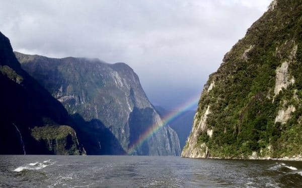 Milford Sound: Living amongst Giants: photo 8