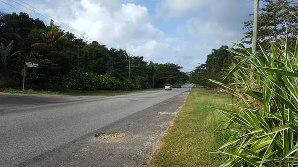 How to experience Jamaica like a local: photo 2