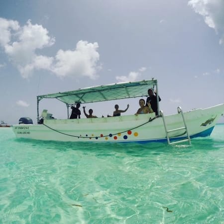 Discovering Cozumel in one day: photo 2