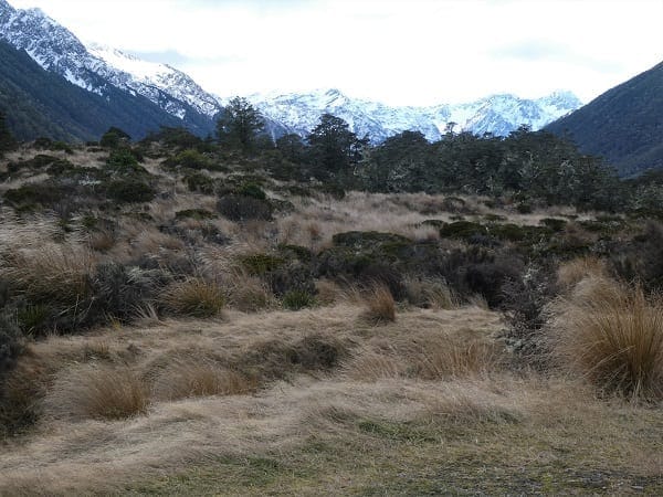 Golden Bay: Adventure playground for all: photo 5