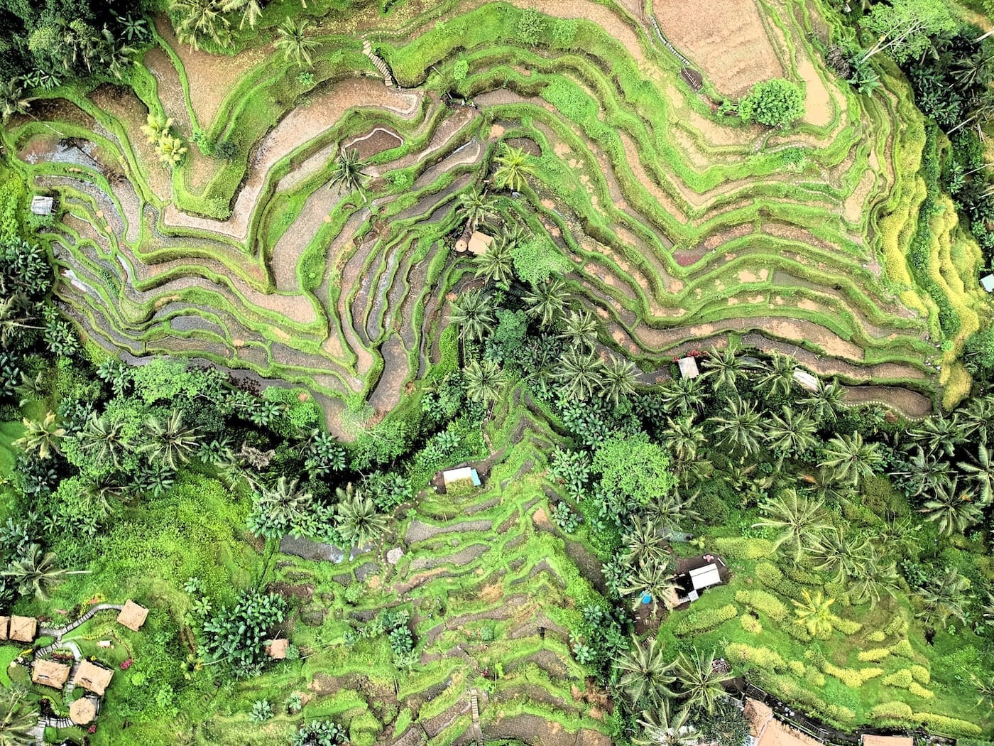 Ubud, Bali - Paradise at The Foothills of Gianyar