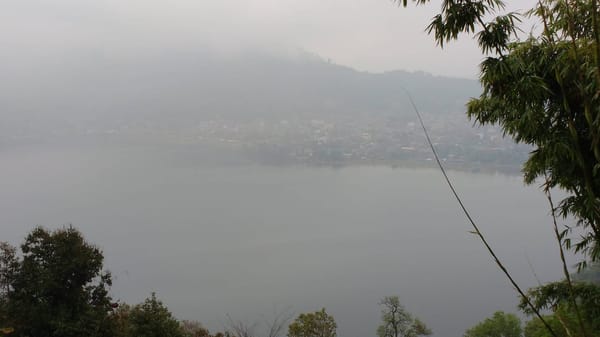 Nepal : In the laps of the Himalayas: photo 11