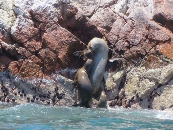 Travel-guide: Peru: photo 3