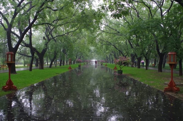 Visiting Beijing: no hustle only fun: photo 3