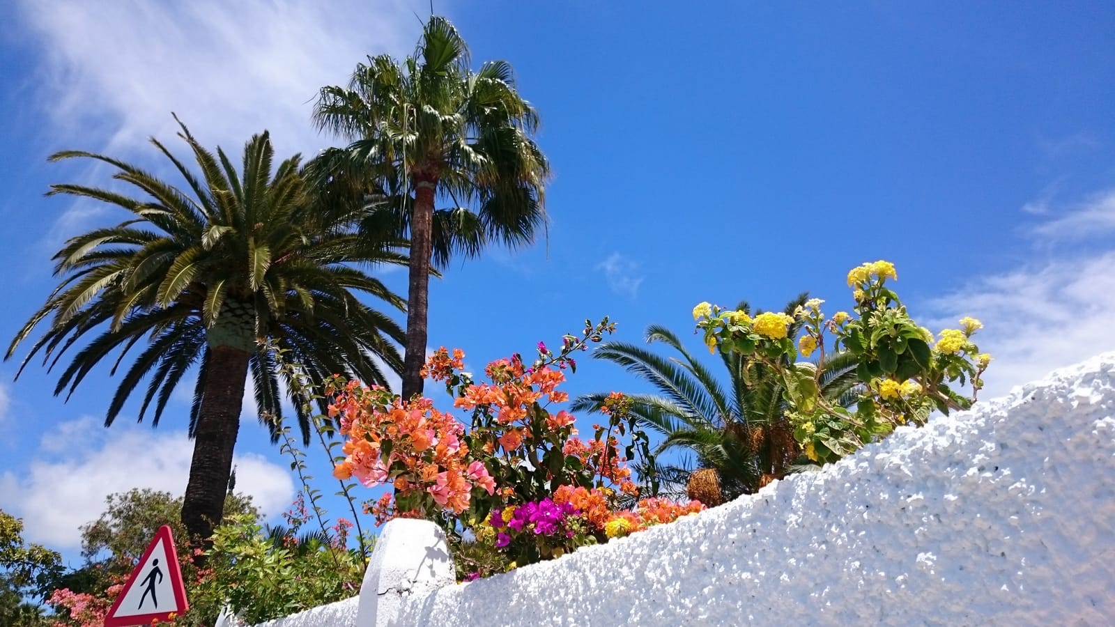 Sunny Side Up: An Insider's Guide to La Gomera's South