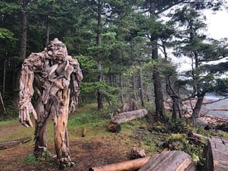 Guide to Vancouver Island: photo 6