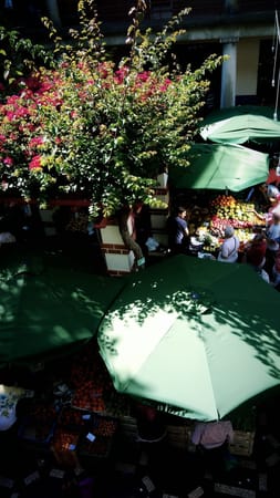 Madeira Island: What to do in this Portuguese paradise: photo 6
