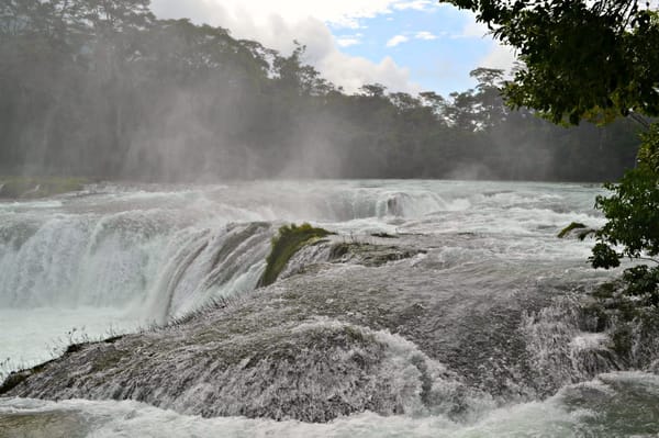 Las Nubes: a piece of heaven in Chiapas: photo 4