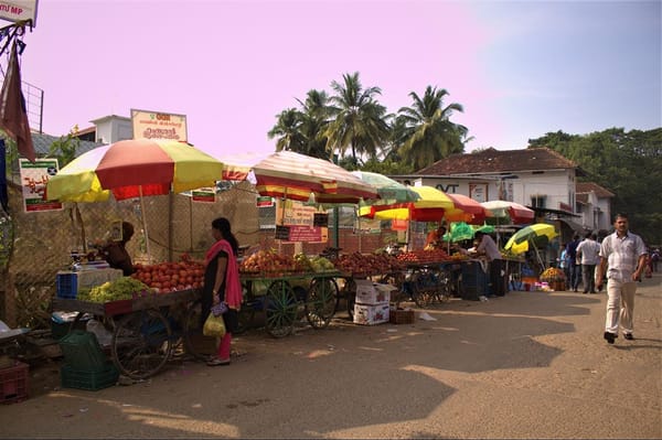 Travelling pregnant: 3 months in India: photo 7
