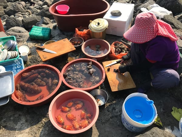 Jeju Island Solo Backpacking: A small person on a big island: photo 5