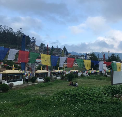 A wanderer’s guide on a Road Trip to Tawang: photo 7