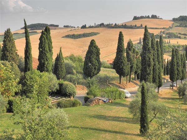 Around Monte Amiata: A touch of rural Tuscany: photo 4
