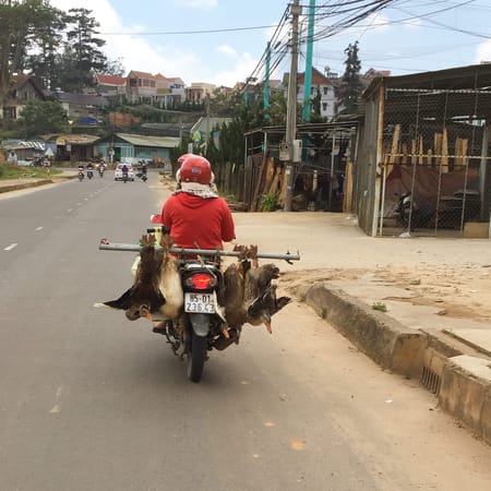 Dalat- the most dalat-ful city in Vietnam: photo 2