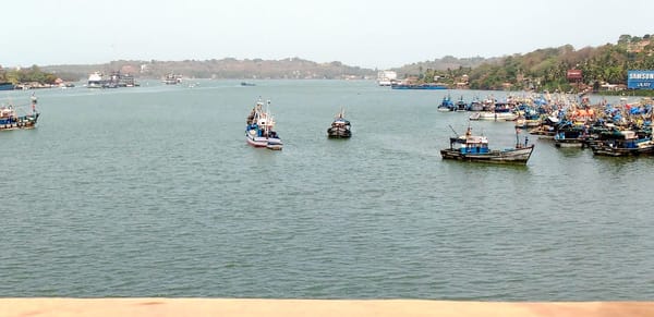 My First Time in Goa: photo 1