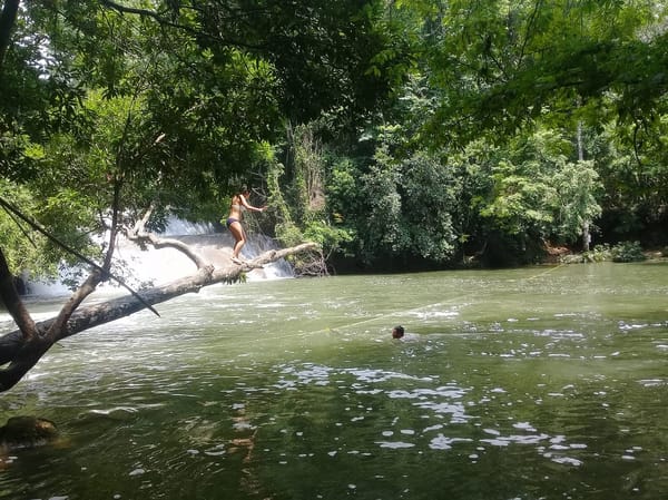 Stunning natural places to practice ecotourism in Chiapas: photo 5
