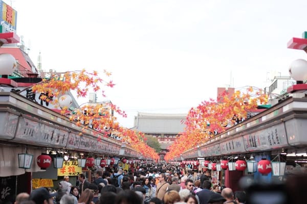 JAPAN: 10 DAYS IN TOKYO: photo 8