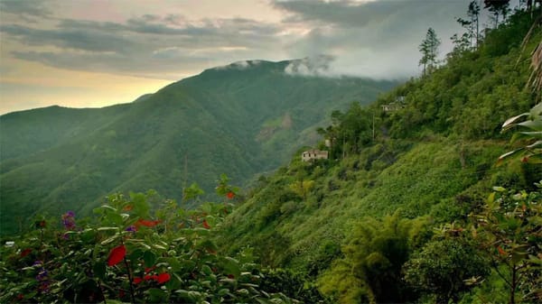 Tidbits of Jamaica: Kingston and Other Parishes: photo 1