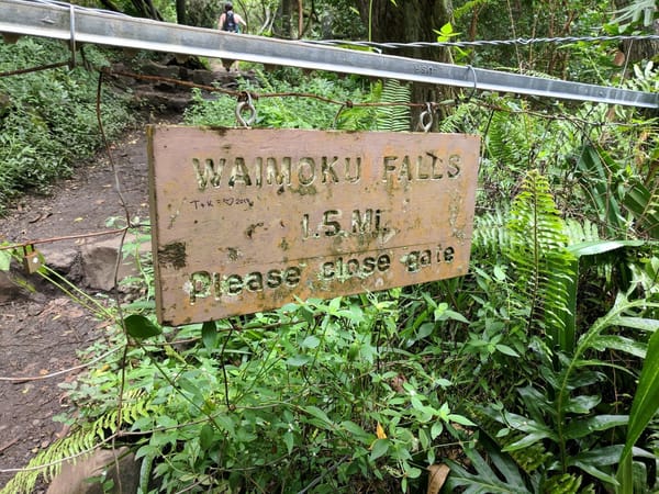 Maui’s Magical Bamboo Forest Along the Pipiwai Trail: photo 1