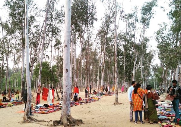 A weekend trip to Shantiniketan: photo 3