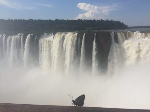 Why you should start your trip to Argentina by Iguazu Falls: photo 2
