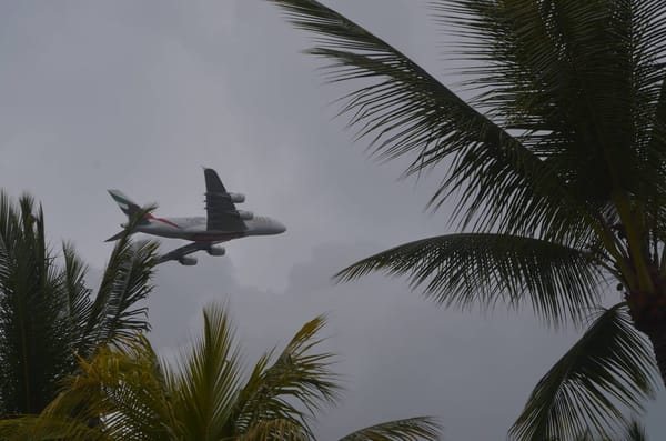 Mauritius: Somewhere In the Very Middle of the Ocean: photo 1