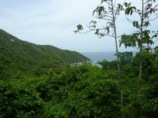 Hiking in Tayrona National Park in Colombia: photo 1