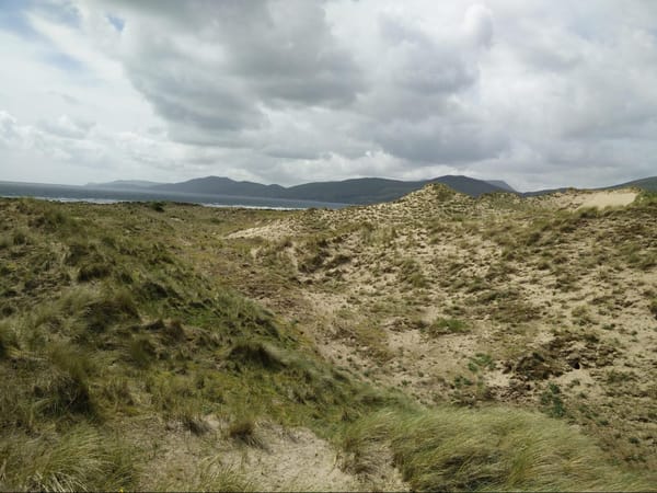 Ireland - A Different Experience at Inch Beach: photo 4
