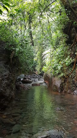 One-day trip to Bogor: Temples, Waterfalls and More!: photo 2