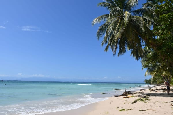 Top 4 Tours in Bocas del Toro: photo 1