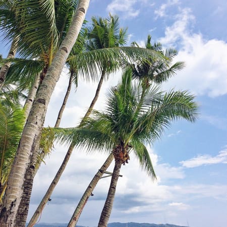 Boracay : The Island that never sleeps: photo 1